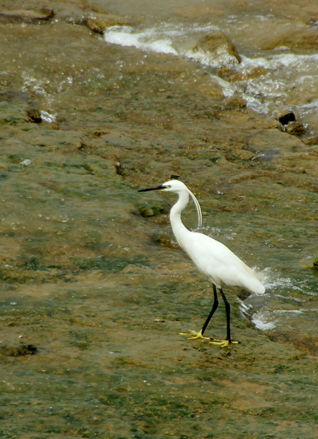 DSC06307.JPG