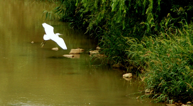 DSC06328.JPG