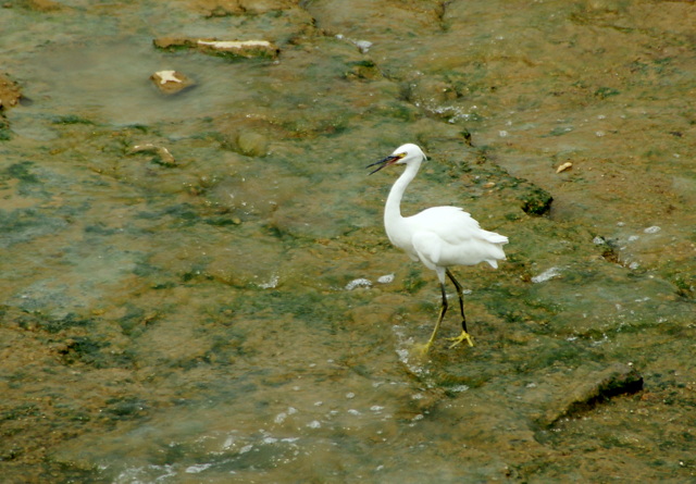DSC06370.JPG