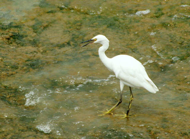DSC06373.JPG