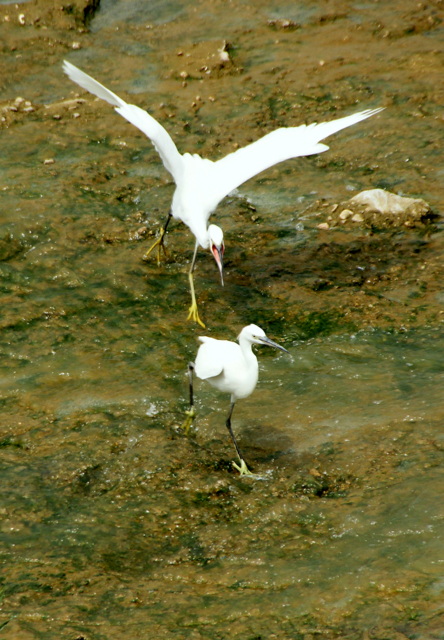 DSC06384.JPG