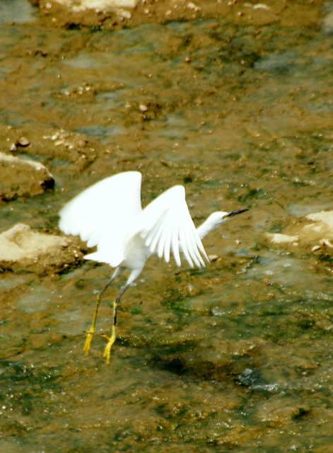DSC06387.JPG