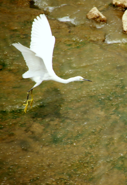 DSC06403.JPG