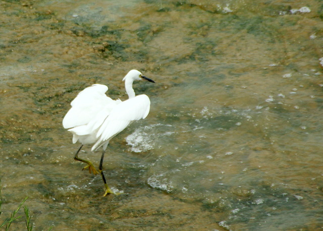 DSC06434.JPG