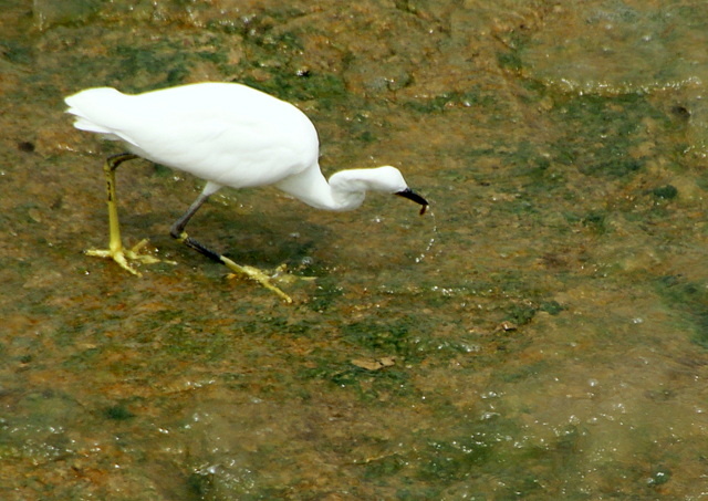 DSC06440.JPG
