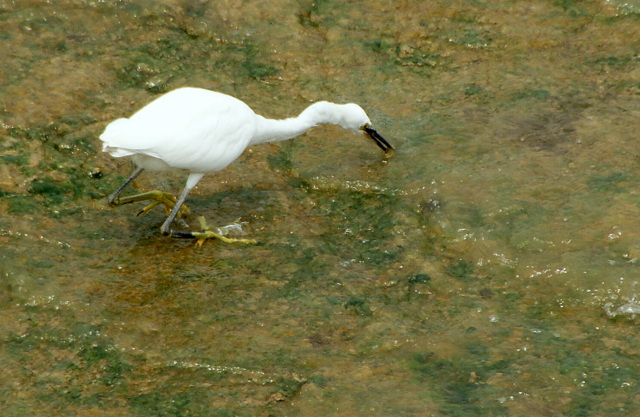 DSC06441.JPG