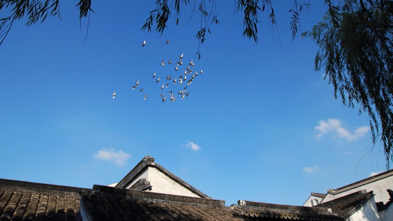 ZHU_00127.jpg