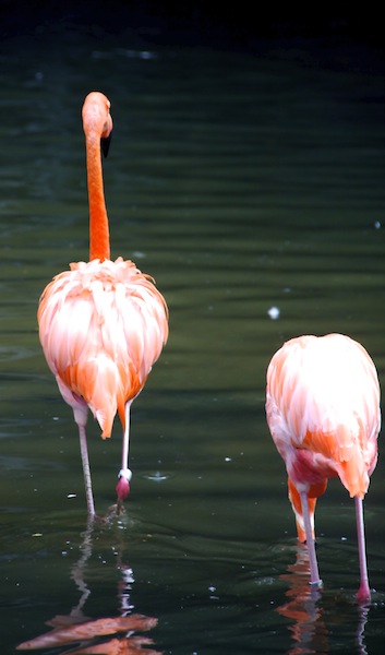_MG_3445.jpg