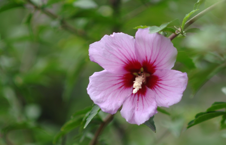 DSC_9591.JPG