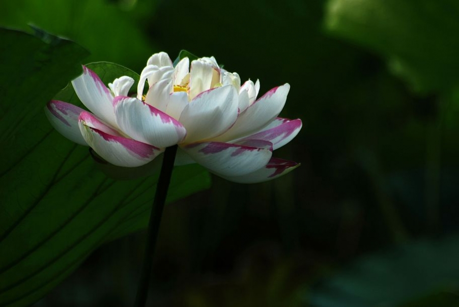 DSC_0362.JPG