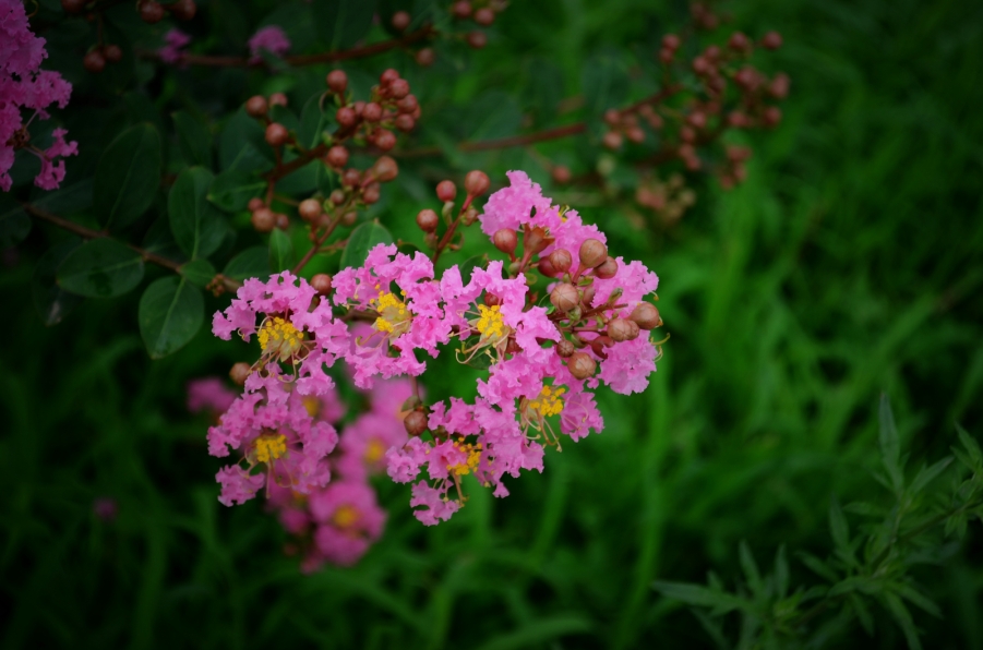 DSC_3316.JPG