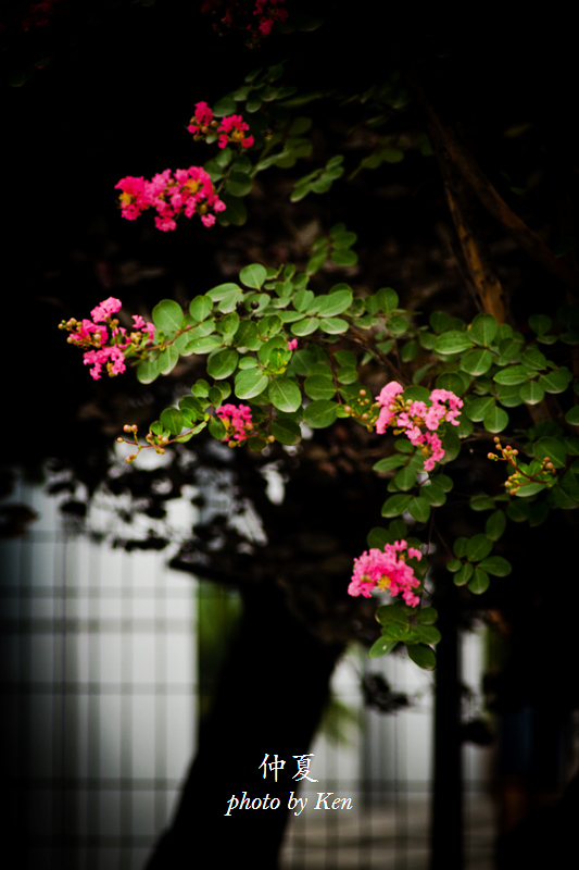 _MG_8249.jpg