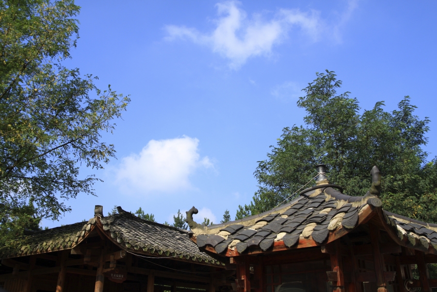IMG_6460副本.jpg