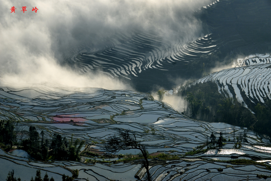 黄草岭1.jpg