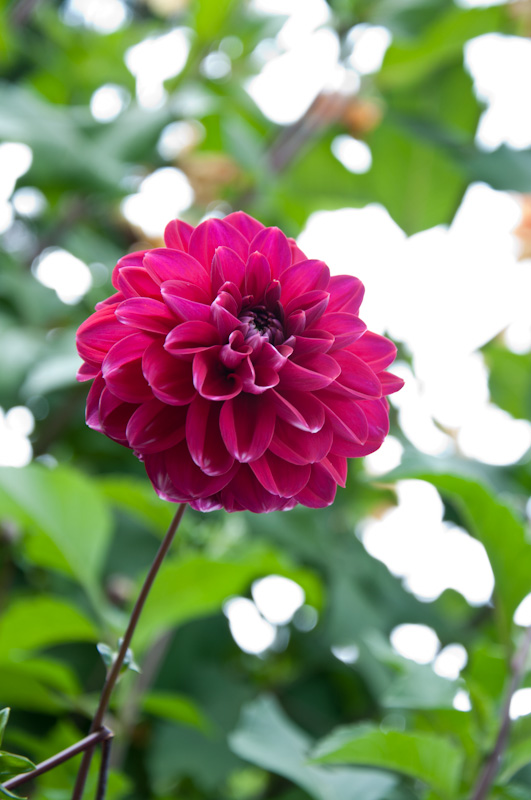 DSC_3656.jpg