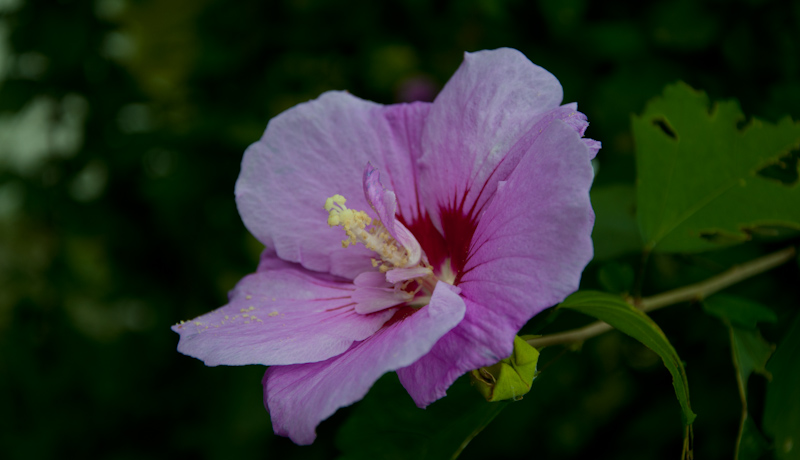 DSC_3668.jpg