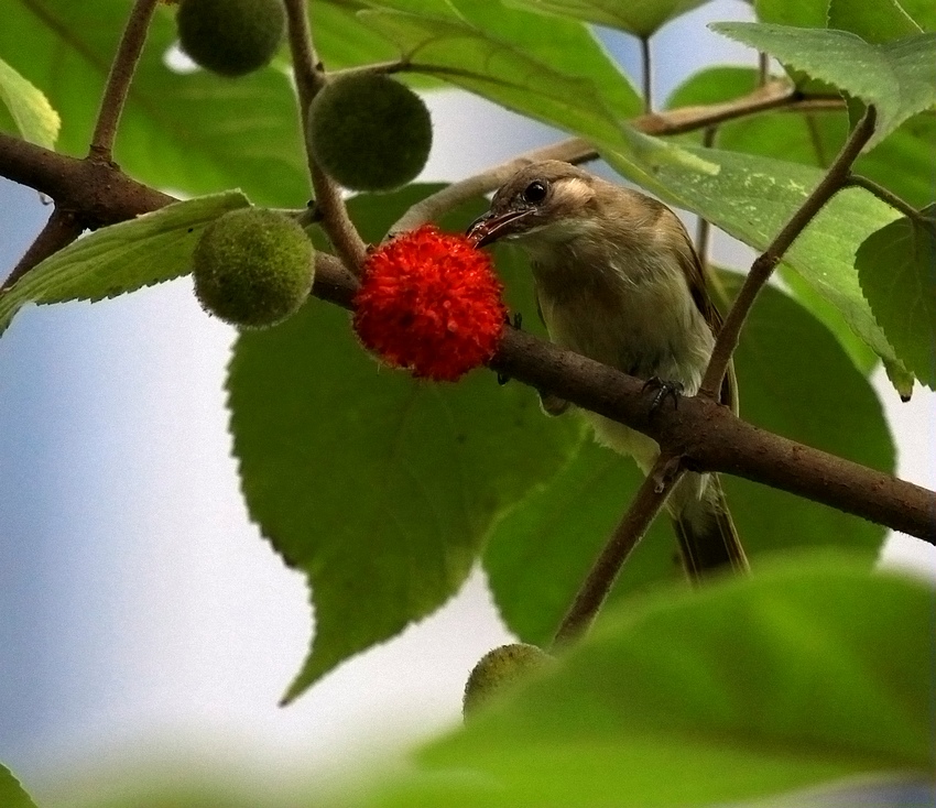 IMG_0027A.jpg