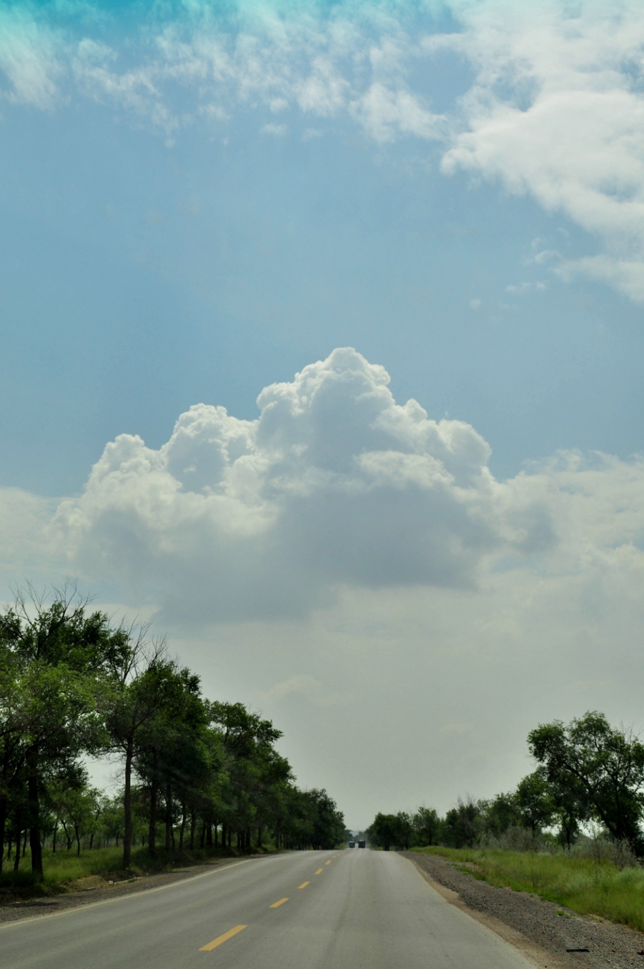 DSC_0255.jpg