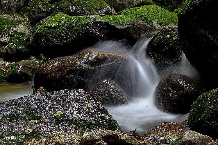 _MG_4659.jpg