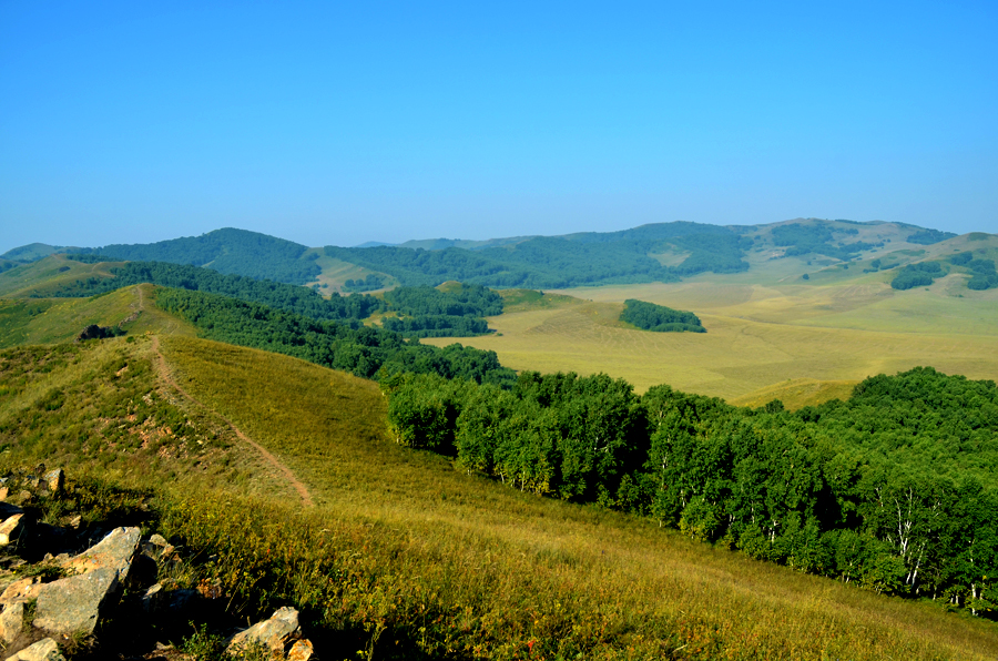 DSC_0507.jpg