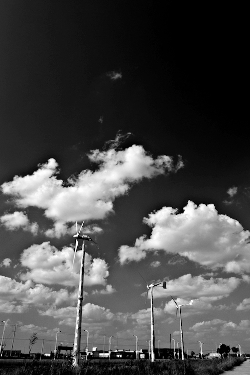 _MG_9393.jpg