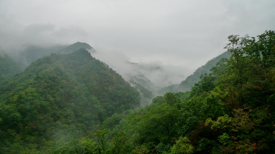 西安 (4).JPG