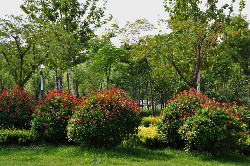 DSC_2586_8518.jpg