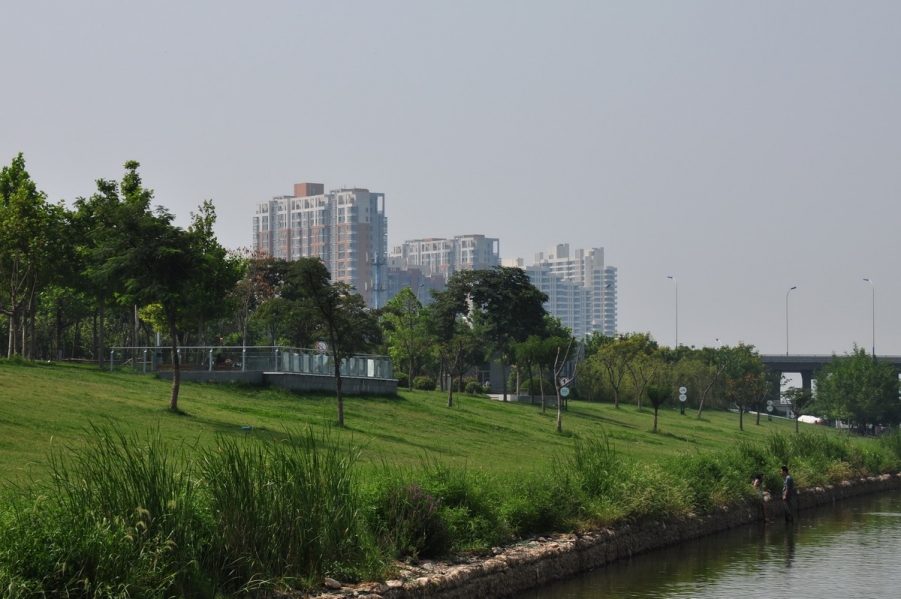 DSC_2569_8501.jpg