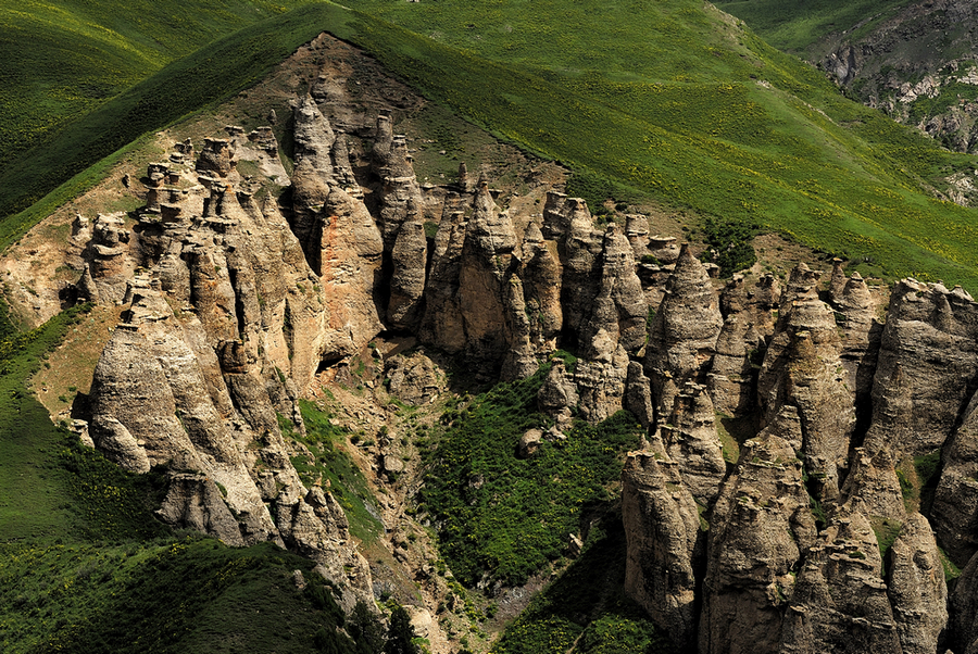 _DSC0156.jpg
