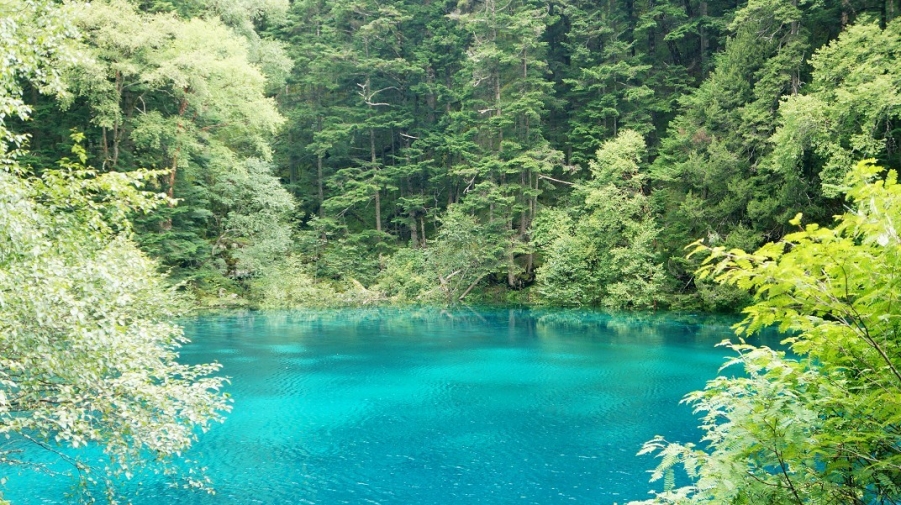 五彩池的水依然蔚蓝--九寨沟.jpg