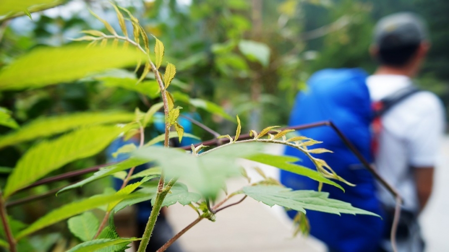 那天把师傅累到了.jpg