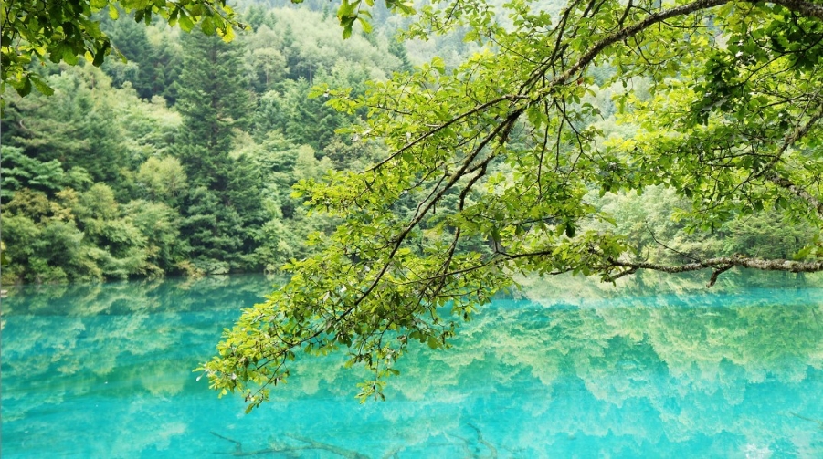 清水如蓝---九寨沟.jpg