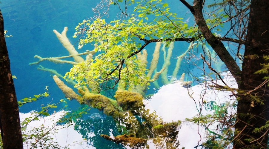 水真的很深.jpg