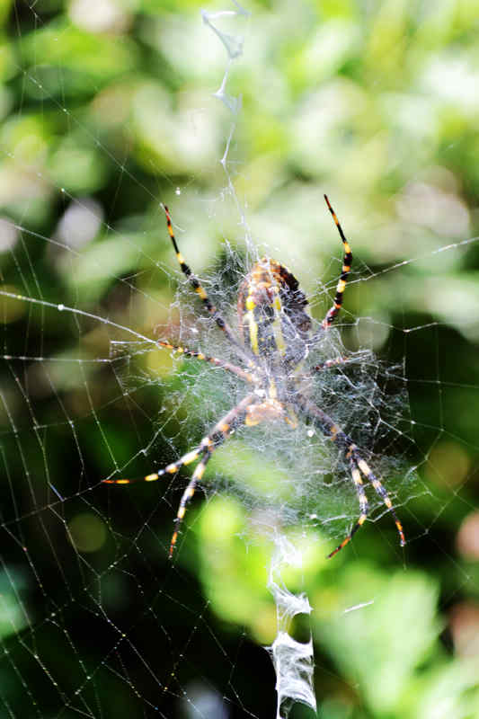 DSC_0139.jpg
