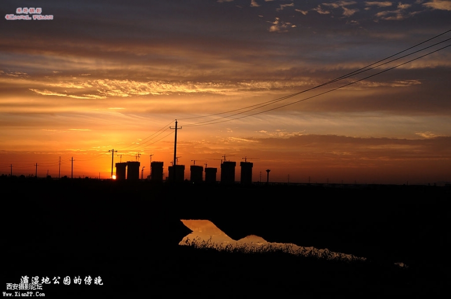 DSC_5816.jpg