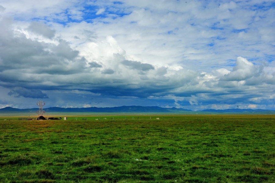 DSC_2967.jpg
