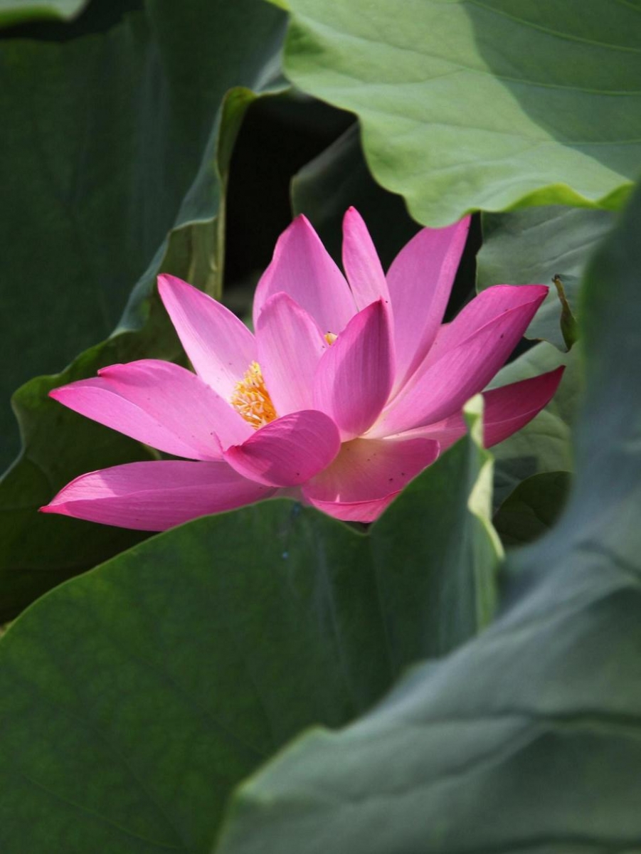 复件 IMG_3671.jpg