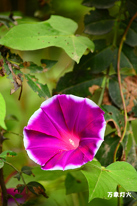 DSC_1023_副本.jpg