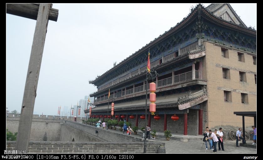 DSC_1903.JPG