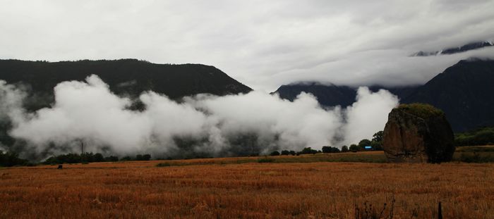 IMG_3360.JPG