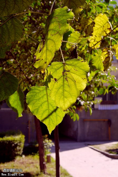 P1010022.jpg