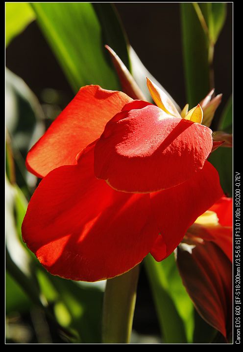 nEO_IMG__MG_3966.jpg