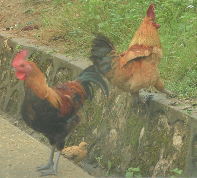 QQ20120919-12.png