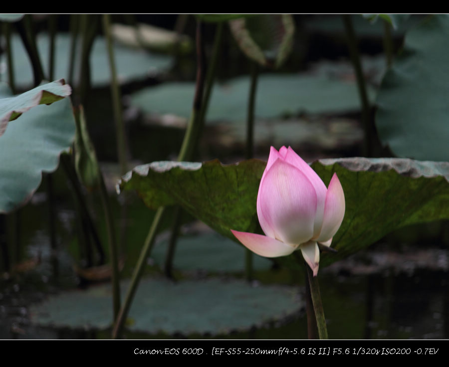 IMG_1072.jpg