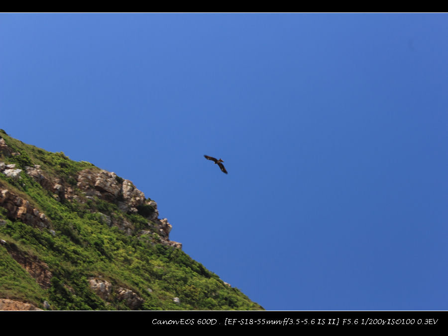 IMG_2457.jpg
