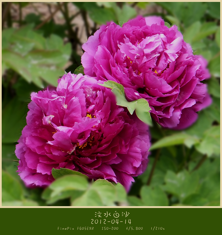 dscf5041_副本.jpg