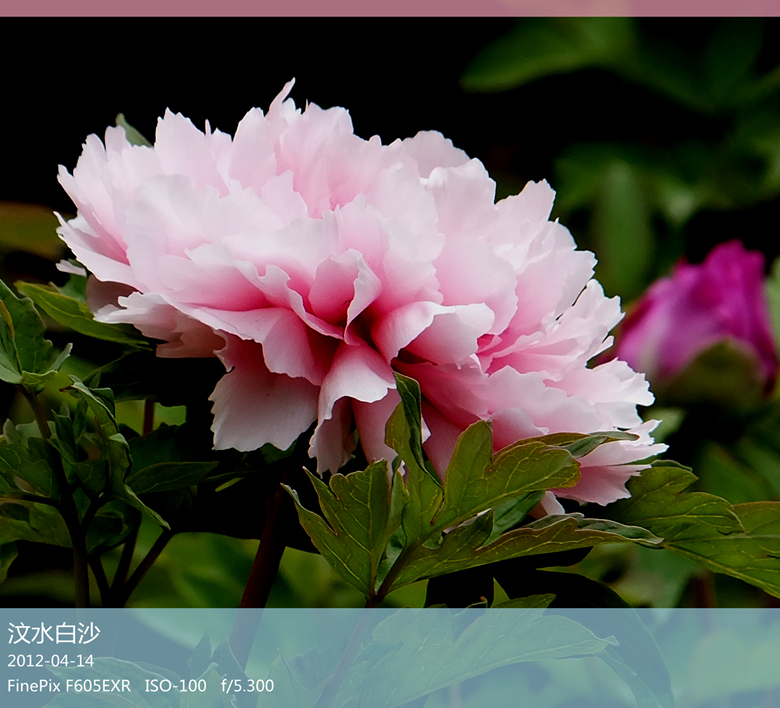 dscf5045_副本.jpg