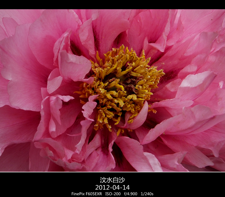 dscf5115_副本.jpg