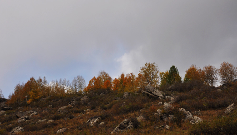 DSC_0756.jpg