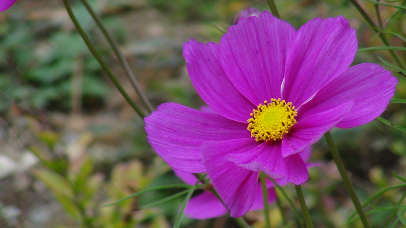 DSC00931_副本.jpg